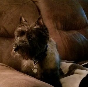 Meet your Posher, Sandy